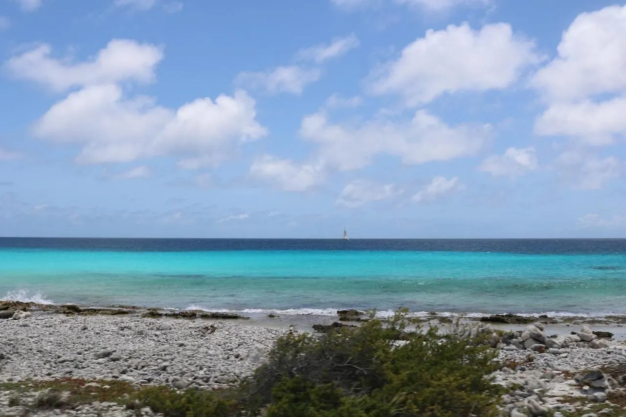 Willa Magic House Bonaire Kralendijk na wyspie Bonaire Bonaire, Saint Eustatius i Saba