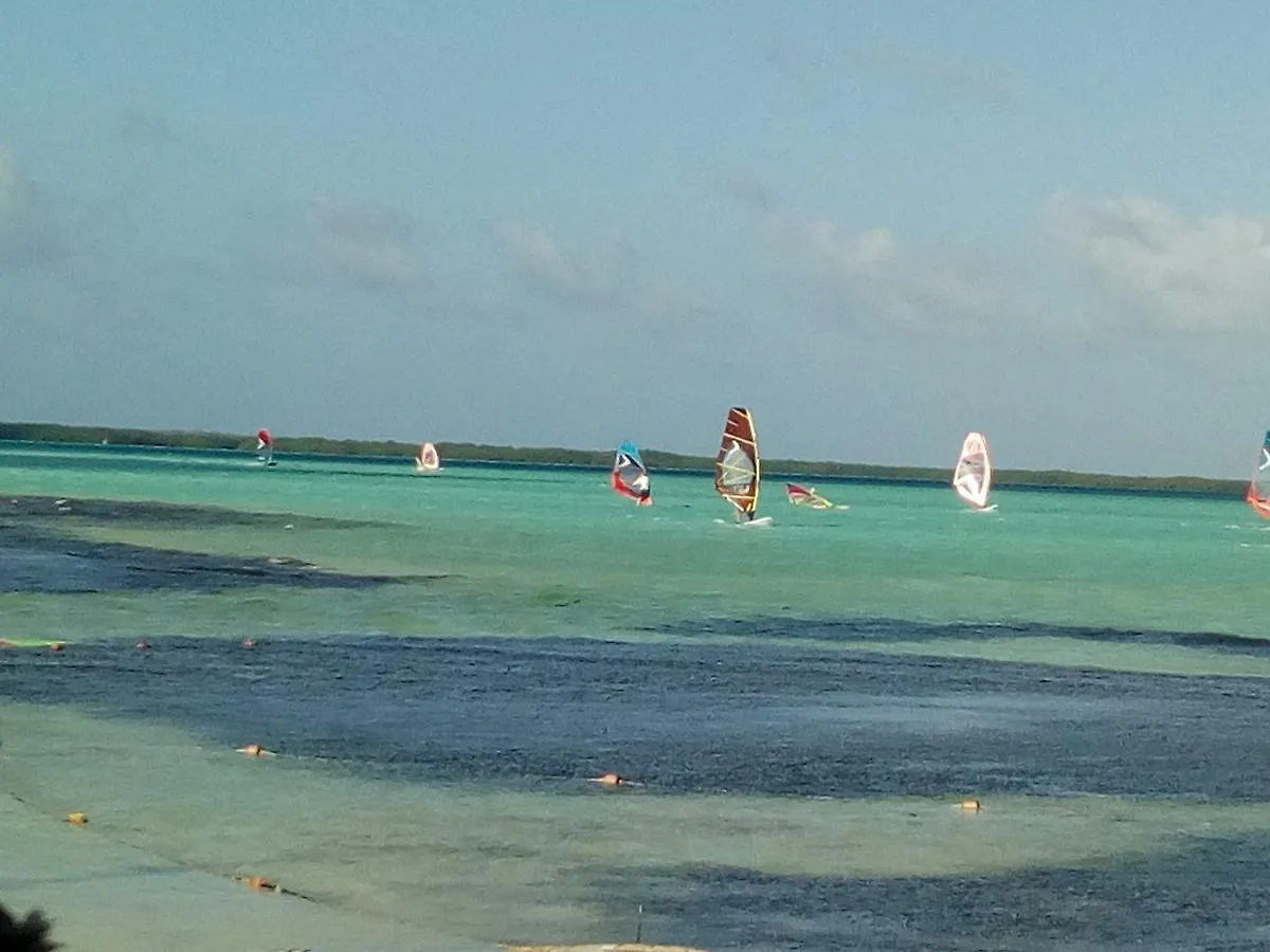 Willa Magic House Bonaire Kralendijk na wyspie Bonaire